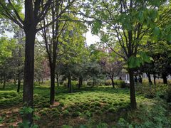 -洛阳市隋唐城遗址植物园