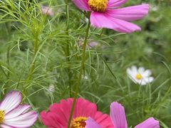 -横店影视城梦幻谷园区