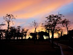 -芒洲湿地公园