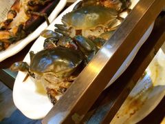 -青蓬蒸汽海鲜·深圳老字号·团建聚会(壹方城店)