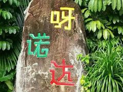 -呀诺达热带雨林