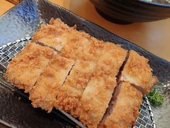 -胜博殿日式炸猪排(西红门店)