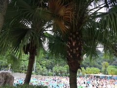 -重庆海昌加勒比海水世界