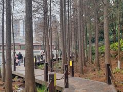 -重庆彩云湖湿地公园