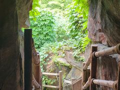 -游龙石文化科普馆