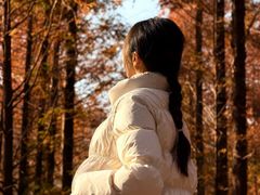 -白水寺森林公园