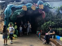 -海合安成都极地海洋公园