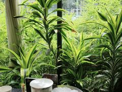 -太守宴·蘭院(天塔店)