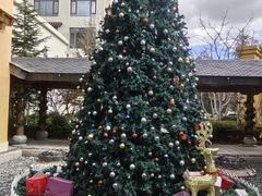 -阿姨家厨(香格里拉大酒店)