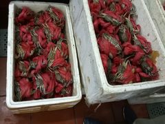 -莲花公园煎蟹(总店)