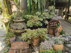 -西双版纳傣族园