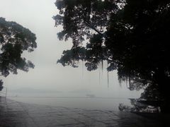 -大埔公路-马料水段香港中文大学(公交站)