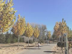 -东郊湿地公园