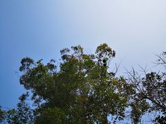 -云里小坐·小院里·团建·宴请·下午茶(三圣乡店)
