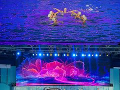-海合安青岛极地海洋公园