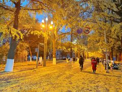 -四川大学(华西校区)