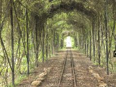 -合肥滨湖国家森林公园