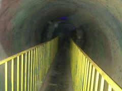 -柳州市动物园