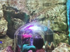 -暹罗海洋世界