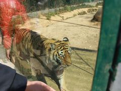 -泉州海丝野生动物世界