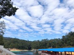 -广州市流溪河国家森林公园