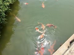 -张家港凤凰山景区河阳山歌馆