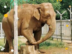 -石家庄市动物园