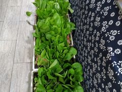 -旺角小渔村·海肠捞饭开创者(二马路店)