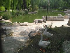 -万柳阁小馆·花园餐厅(龙潭湖店)