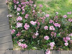 -秦皇岛野生动物园