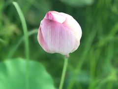 -小洞天柴火土菜馆