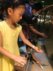 -酷嗒动物文化乐园(cutezoo西溪乐天城店)