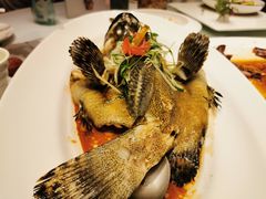 -春满园·早茶·粤菜·宴会(喜宴店)