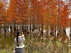 -白鹭湾湿地公园