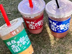 -南澳岛打卡果汁冰公司
