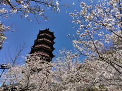 -牛首山文化旅游区