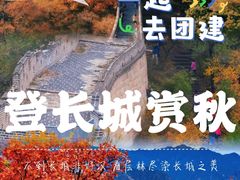 -桔子文创·企业团建·活动策划·拓展会议