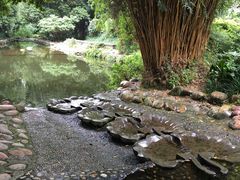 -成都市活水公园