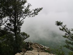-秦岭风景区