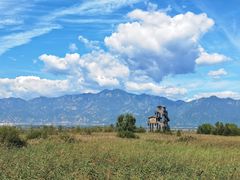 -野鸭湖国家湿地公园