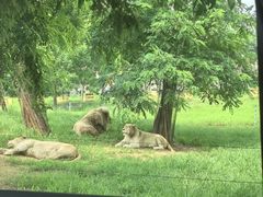 -秦皇岛野生动物园