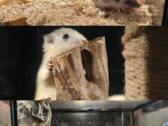 -太平洋海底世界