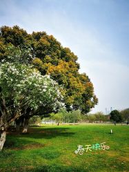 -玄武湖景区-情侣园游乐场