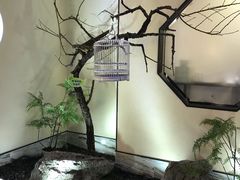 -小厨娘淮扬菜(诚信大道店)