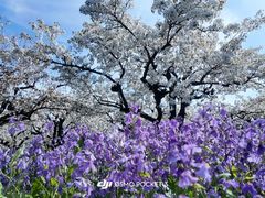 -江苏三台山国家森林公园