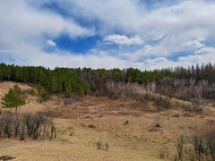 -塞罕坝国家级自然保护区