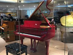 -柏斯音乐艺术中心·钢琴·吉他(世纪金源店)