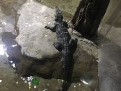 -左海海底世界