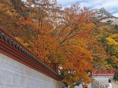 -青岩寺风景区