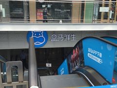 -盒马鲜生(双清路店)